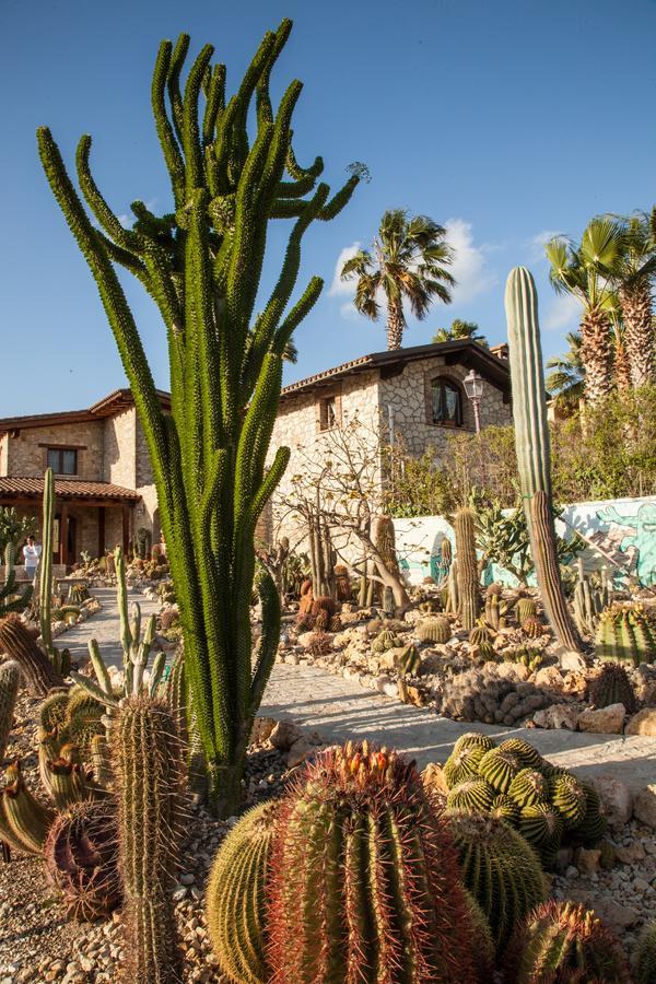Séjour à la campagne Garden Cactus
